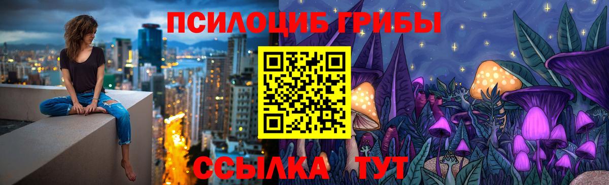 Псилоцибиновые грибы Cubensis Фролово
